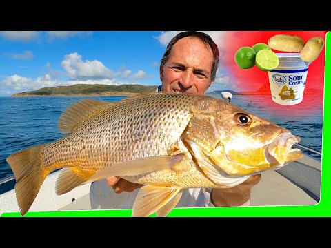 Solo Boat camping remote islands - Deserted beach - Catch n Cook - Day 2- EP.557