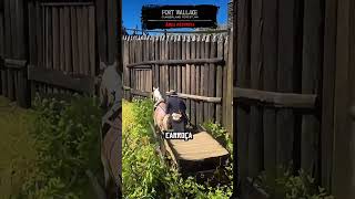 O que tem dentro do Fort Wallace #rdr2 #shorts