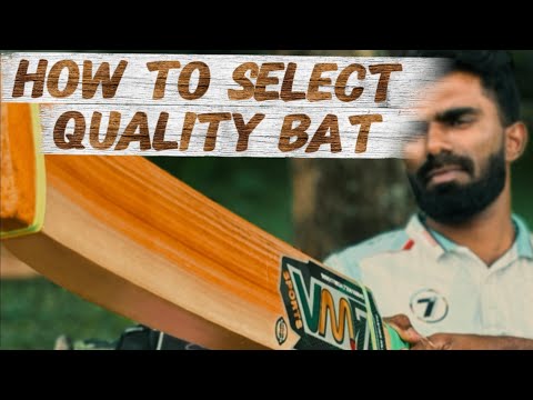 Useful tips for better selection #bats #quality #cricketbats #cricketlover #sports #cricketer 