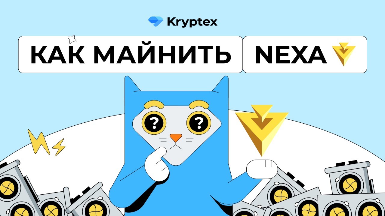 Видеогайды