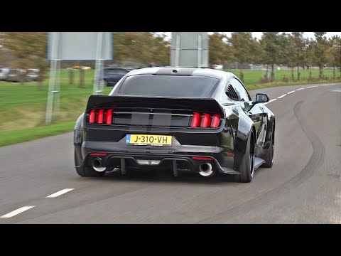 Thumbnail for BEST OF FORD MUSTANG SOUNDS! Shelby GT500, Alphamale Widebody, GT350, RTR Widebody, Royal Crimson GT by Shelby Mustang