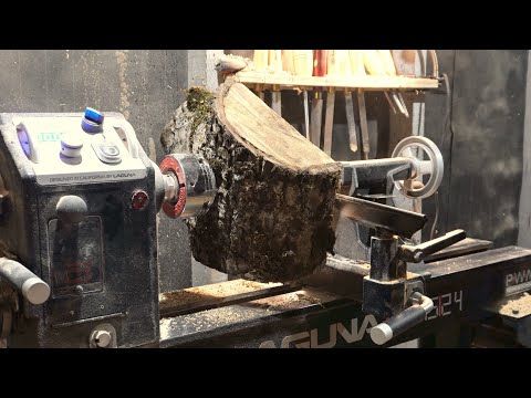 Lets turn a spalted walnut SOMETHING! Firewood or treasure?