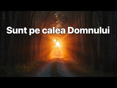 Sunt pe calea Domnului (Cover)