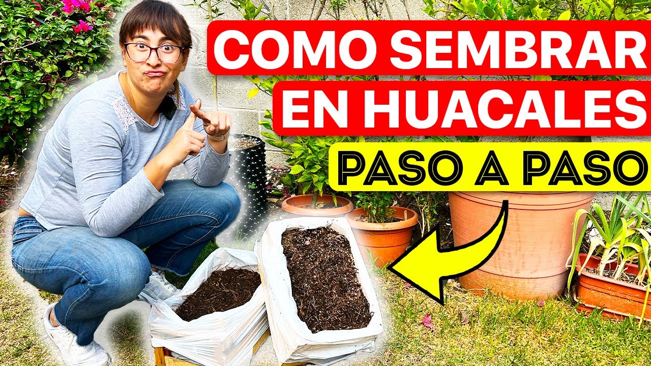 Los errores más comunes al sembrar en huacales: ¡Evítalos para un mejor cultivo!
