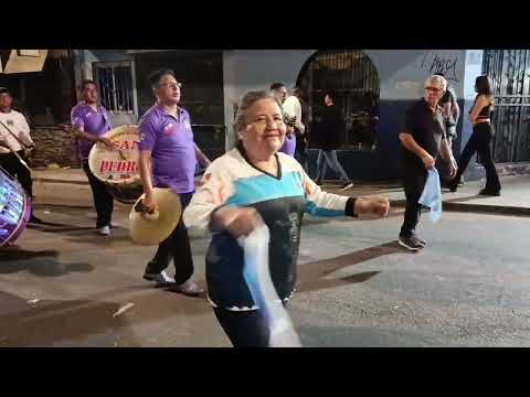 Gato Andino de Arica Parinacota 2026...