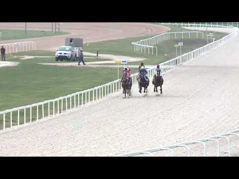 2019.04.14. 06. futam - IGAZGATÓSÁGI DÍJ (Elit kat.) (szintetikus pálya)