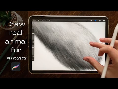 Draw animal fur fast and easy with just default Procreate brushes
