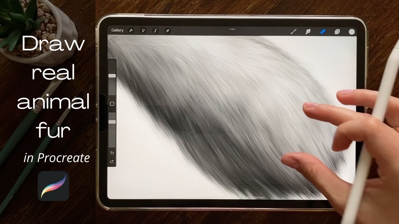 Draw animal fur fast and easy with just default Procreate brushes