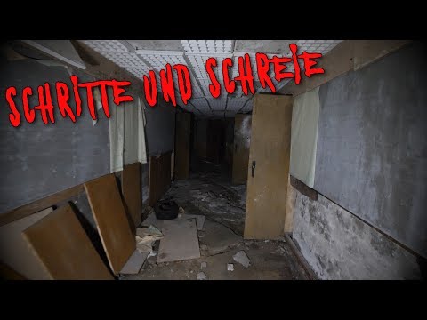 SCHRITTE und SCHREIE neben uns!