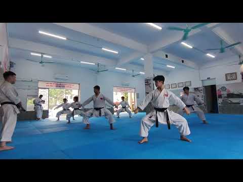 Suparinpei kata shito ryu tutorial - MonKata