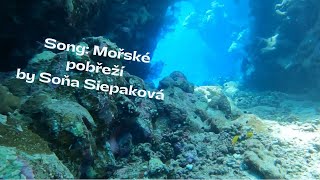 Video Píseň Mořské pobřeží od Soni Siepakové. Album Písně proměny (202