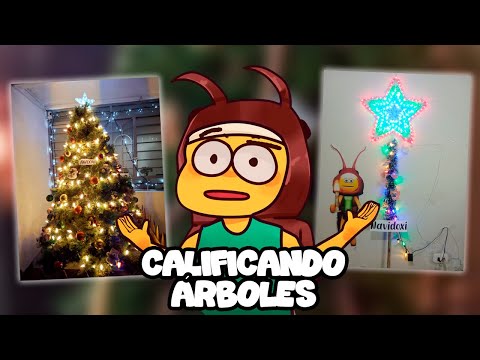 CALIFICANDO ÁRBOLES DE NAVIDAD
