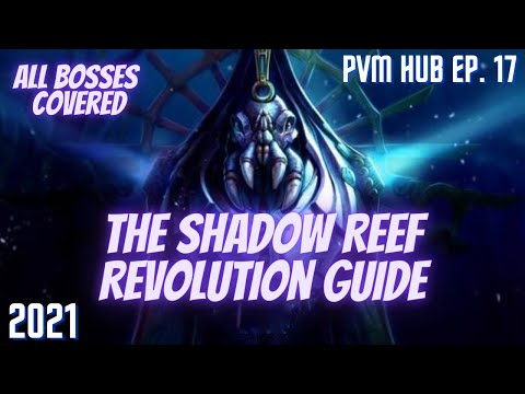 The Complete BEGINNER Guide to The Shadow Reef | Elite Dungeon 3 | Runescape 3 | The PvM Hub 17