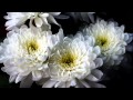 Chris Spheeris - Slow Dance ( Winter, Inverno ...