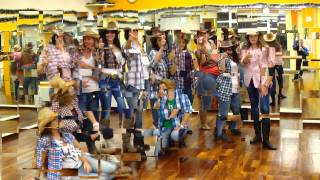 THE JANEDEAR GIRLS  MARRY GO ROUND LINE DANCE DANA