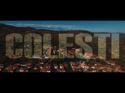 Colesti - Bihor - restaurant Muma Codrului