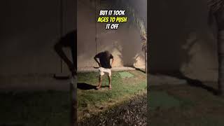 This Man Wanted to Take a Picture with a Spide, Then it Jumped on him😂