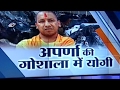 Yogi Adityanath to visit cow shelter run by Aparna and Prateek Yadav