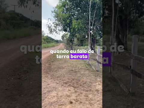 Essa terra tá de graça no Maranhão