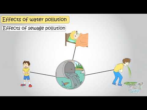 Water Pollution -  Its Effects and Preventions | Science | Grade- 4,5 | Tutway |
