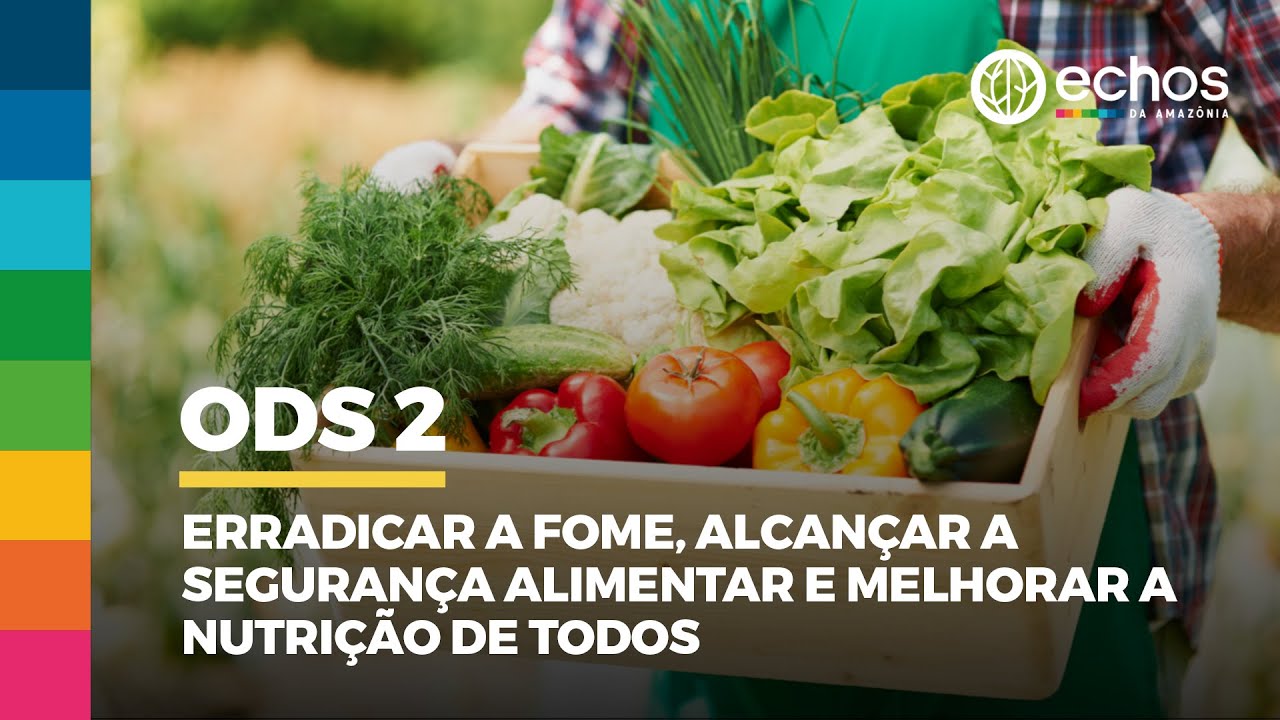 Echos da Amazônia - Ep 07: ODS 02