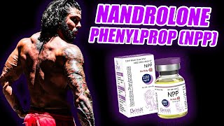 NPP (Nandrolone Phenylpropionate) Full Guide: Doses, Benefits, Risks