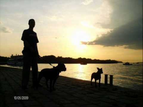 Ajzea - Koliko jos Diss X3M, Juice , global diss