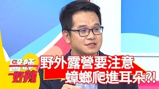 野外露營要注意！蟑螂爬進耳朵竟出不來？！【醫師好辣】 20190605  part2 EP752 陳保仁 楊繡惠