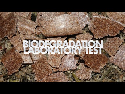 Biotrem tableware biodegradation laboratory test