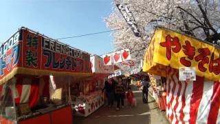 preview picture of video '2014・04・01　岡崎城公園　花見＆屋台巡り～あんかけスパあん～大須　鶏の丸焼き'