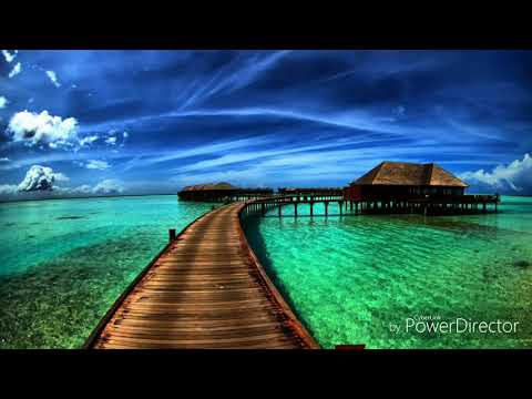 Doresc sa fie numai crini (Nicu Wagner) - Grecu Alin