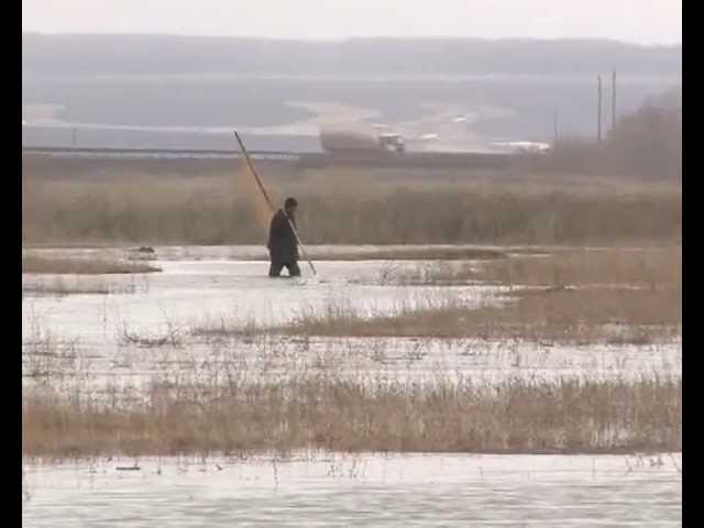 Боз китте.Чирмешән тынычланмады .