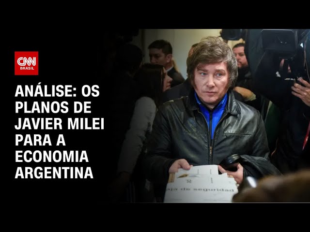 Análise: Os planos de Javier Milei para a economia argentina | WW