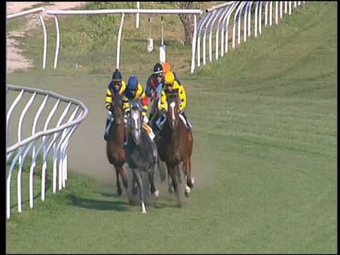 Galoppo 15/03/2017 - 1ª corsa