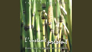 Musiques pour méditations rêveuses