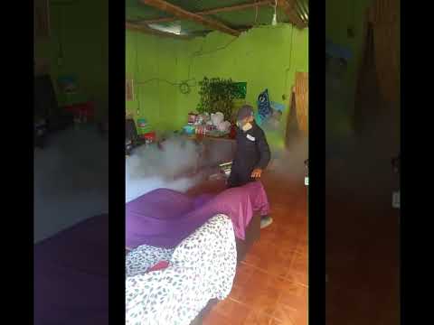 PIURA: Buscan fumigar 20 mil casas en SULLANA para prevenir DENGUE #noticias #short