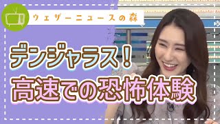 仮免許中の高速道路で起こった恐怖体験【白井ゆかり】【切り抜き】ウェザーニュースの森【ウェザ森】