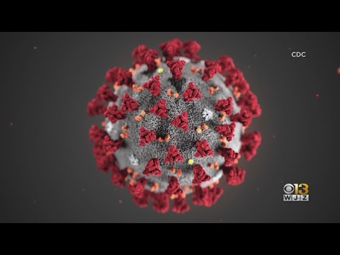 Old Polio Vaccine Could Help Protect Against COVID-19, Experts Say