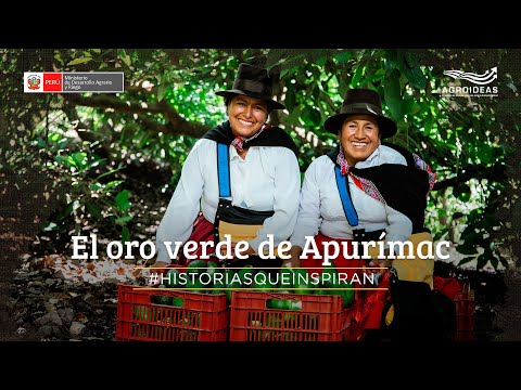 #HistoriasQueInspiran -  [PALTA] El oro verde de Apurimac., video de YouTube