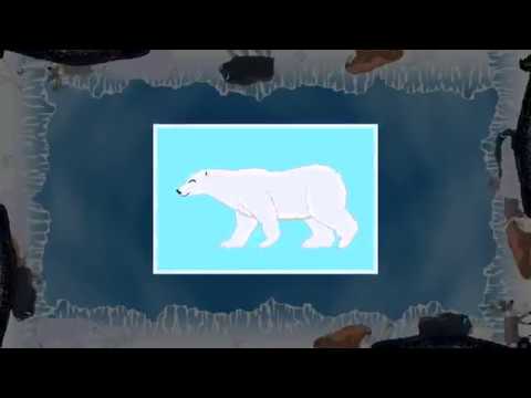 BoxZoo Arctic : Shadow Match Video