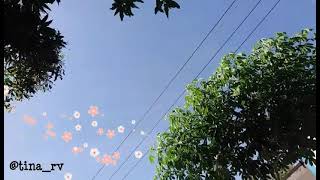 Download lagu NING ANGIN TAK TITIPKE ROSO KANGEN MARANG SLIRAMU #storywa #trending #lagujowo #viral mp3 Download lagu NING ANGIN TAK TITIPKE ROSO KANGEN MARANG SLIRAMU #storywa #trending #lagujowo #viral mp3