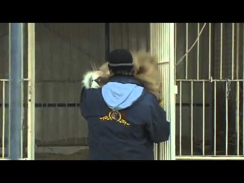 Martin Lacey Jnr Circus Krone - Lion Act