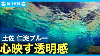 「いごっそう」の心映すブルー　高知・仁淀川