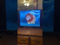 The Lion King 1994 Mufasa S Ghost VHS Capture