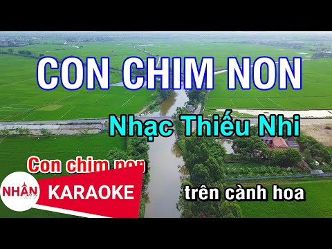 Con Chim Non (Karaoke Beat)