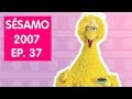 Sésamo 2007 Episódio 37 COMPLETO