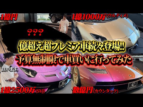 【超限定車登場】予算無制限、車買いに行ってみた。