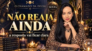 🚨NÃO REAJA AINDA - A RESPOSTA QUE VOCÊ PRECISA VAI FICAR CLARA | O CHAMADO DA DEUSA #oráculo