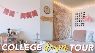 COLLEGE DORM TOUR + organization! (freshman)