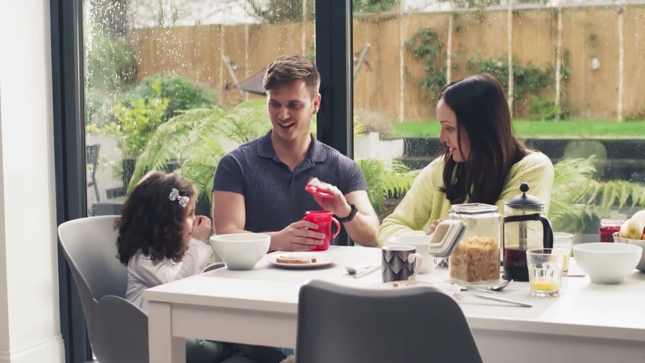 NETTOYEUR DETACHEUR BISSELL 3724N